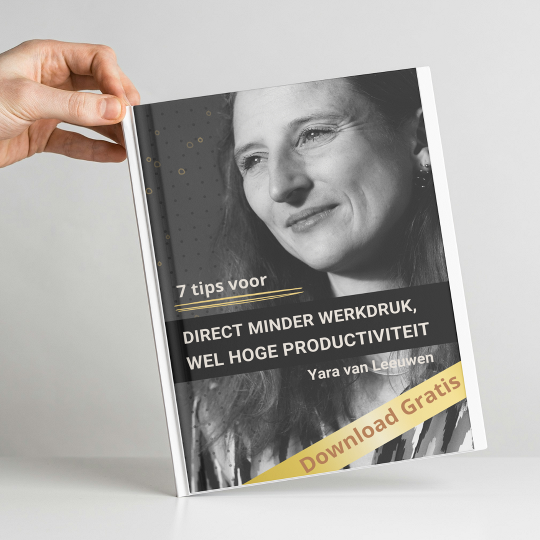 Gratis 7 tips voor direct minder werkdruk, wel hoge productiviteit